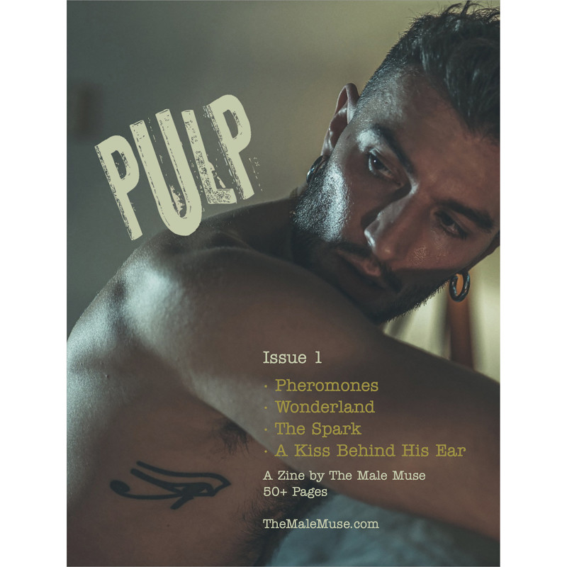 The Male Muse Livre photo PULP n°1